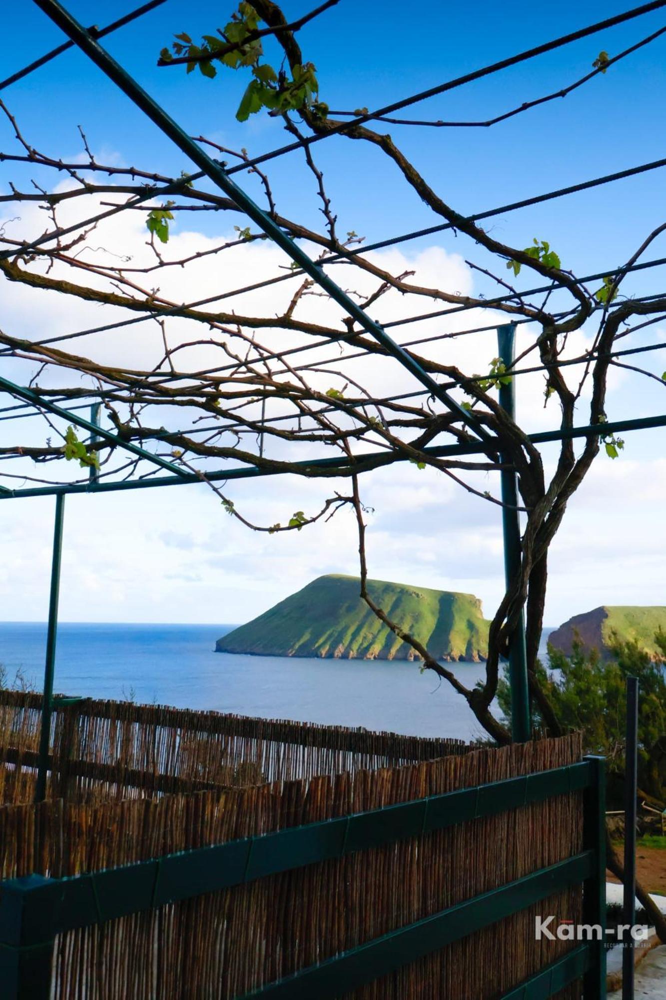 Vila Casa Da Avo Couta Angra do Heroísmo Exteriér fotografie